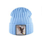 Bonnet Aigle en laine acrylique, doux et chaud - écusson brodé Freedom - coloris bleu ciel