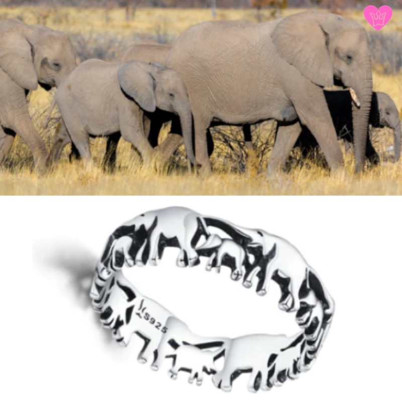 Elephant Ring – Super Silver